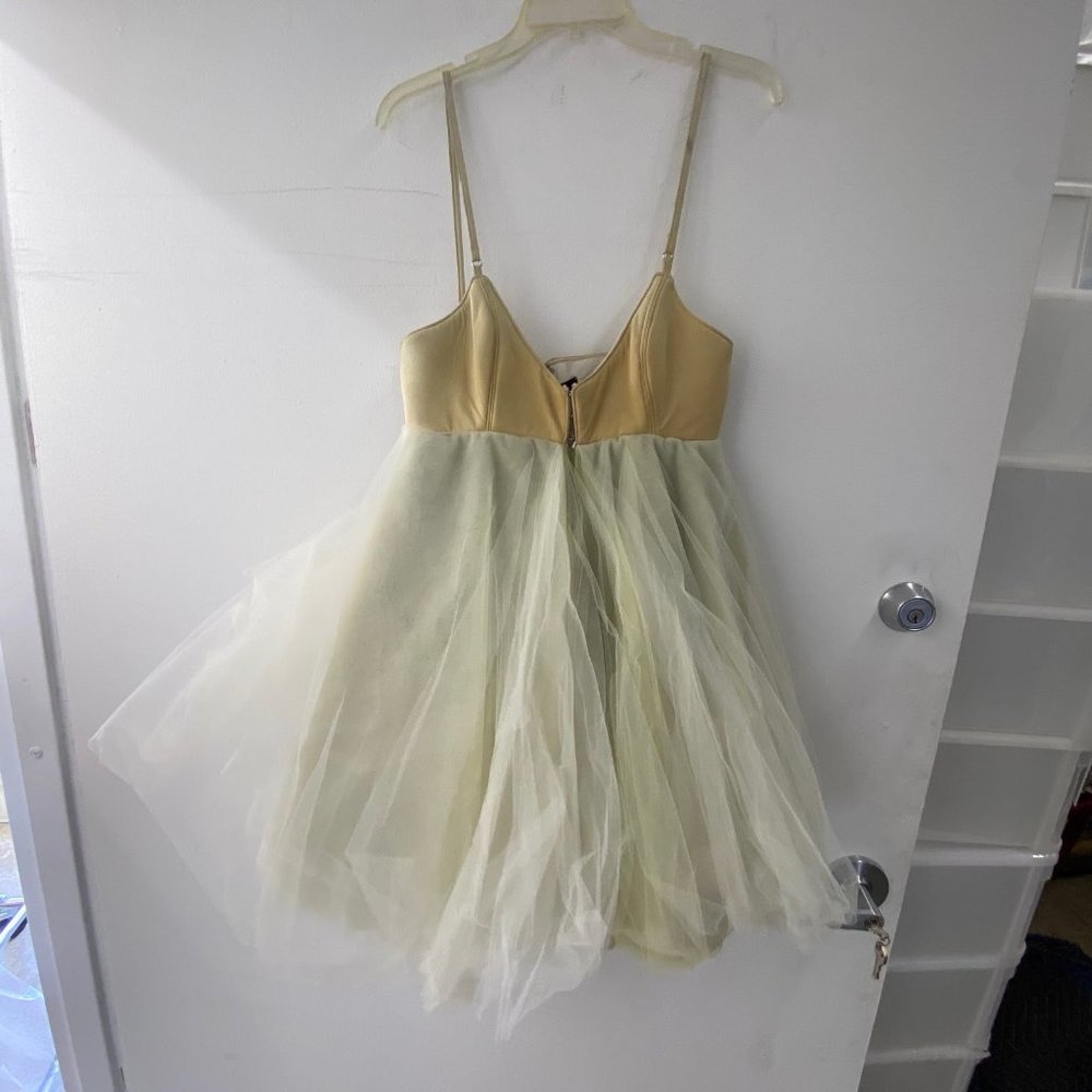 COPY - Maggie Barry light brown Tulle dress